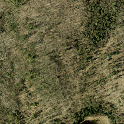 Satellite imagery of Crankshaw Hill, CA