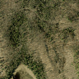 Satellite imagery of Crankshaw Hill, CA