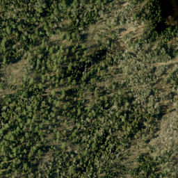 Satellite imagery of Bluff Mountain, CA