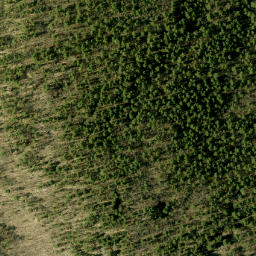Satellite imagery of McGonegals Mountain, CA