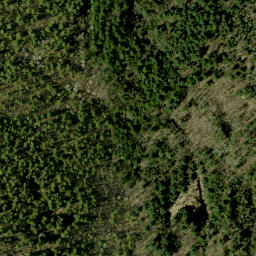 Satellite imagery of McGonegals Mountain, CA