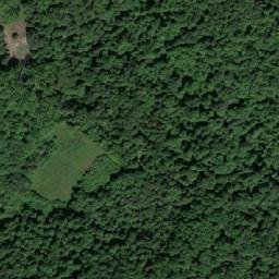 Satellite imagery of Trivića Kosa, BA