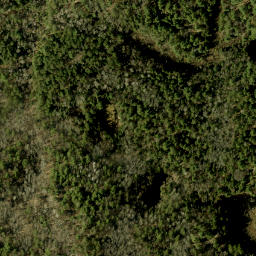 Satellite imagery of Eaglesnest Hill, CA