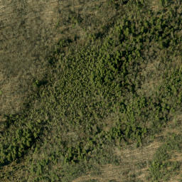 Satellite imagery of Rattan Mountain, CA