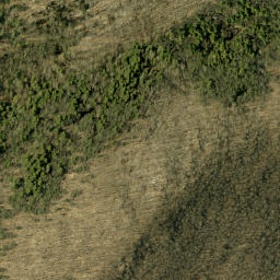 Satellite imagery of Rattan Mountain, CA