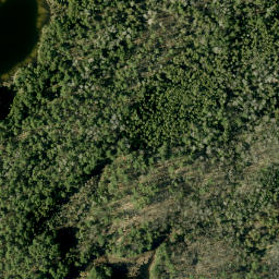 Satellite imagery of Pine Hill, CA
