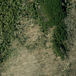 Satellite imagery of Pine Hill, CA
