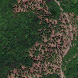 Satellite imagery of Jasenova Kosa, HR