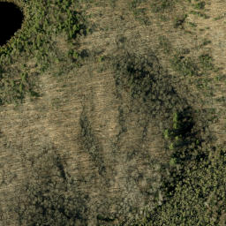 Satellite imagery of Rattan Mountain, CA
