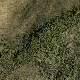Satellite imagery of Rattan Mountain, CA