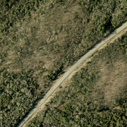 Satellite imagery of Rattan Mountain, CA