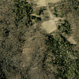 Satellite imagery of Johnsons Mountain, CA