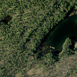 Satellite imagery of Pine Hill, CA