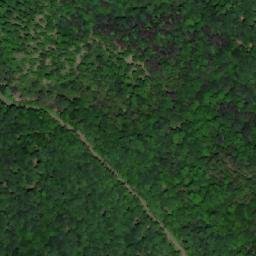 Satellite imagery of Crna Kosa, HR