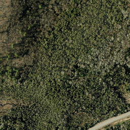 Satellite imagery of Rattan Mountain, CA