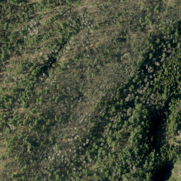 Satellite imagery of Pine Hill, CA
