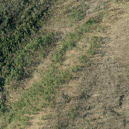 Satellite imagery of Pine Hill, CA