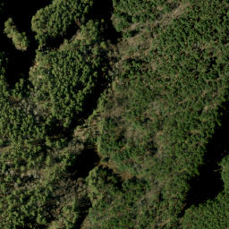 Satellite imagery of Bartraw Lake Mountain, CA