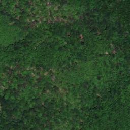 Satellite imagery of Jasenova Kosa, HR