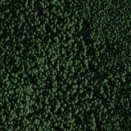 Satellite imagery of Round Wolf Pit, US