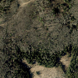 Satellite imagery of Salt Mountain, CA