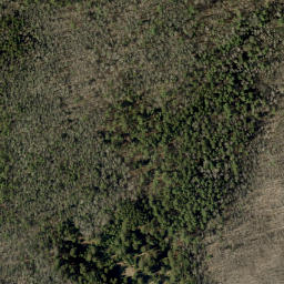 Satellite imagery of Inwoods Hill, CA