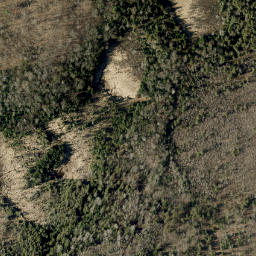 Satellite imagery of Loneys Hill, CA