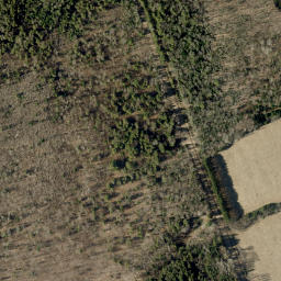 Satellite imagery of Loneys Hill, CA