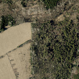 Satellite imagery of Loneys Hill, CA