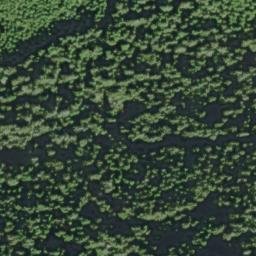 Satellite imagery of Salal Point, US