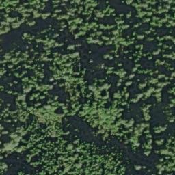 Satellite imagery of Salal Point, US