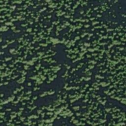 Satellite imagery of Salal Point, US