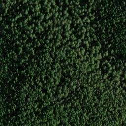Satellite imagery of Round Wolf Pit, US