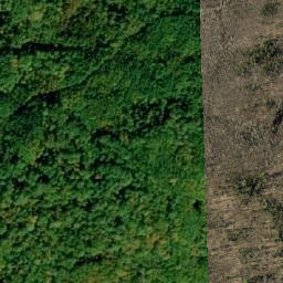Satellite imagery of Salt Mountain, CA