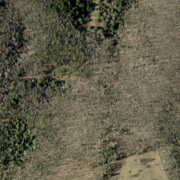 Satellite imagery of Inwoods Hill, CA