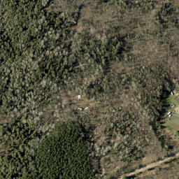 Satellite imagery of Loneys Hill, CA