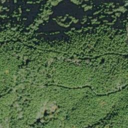 Satellite imagery of Salal Point, US