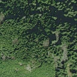 Satellite imagery of Salal Point, US