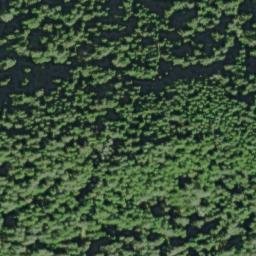 Satellite imagery of Salal Point, US