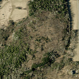 Satellite imagery of Loneys Hill, CA