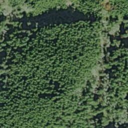 Satellite imagery of Salal Point, US