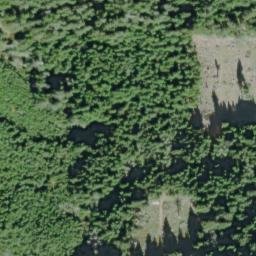 Satellite imagery of Salal Point, US