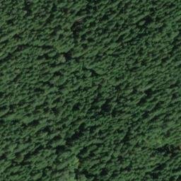 Satellite imagery of Burton Ridge, US