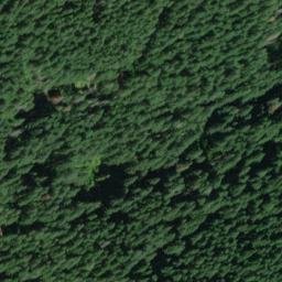Satellite imagery of Burton Ridge, US