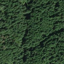 Satellite imagery of Burton Ridge, US