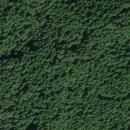Satellite imagery of Burton Ridge, US