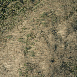 Satellite imagery of Thompson Mountain, CA