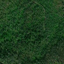 Satellite imagery of Bowyer Quarry, US