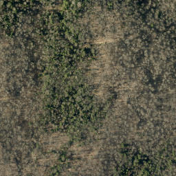 Satellite imagery of Thompson Mountain, CA