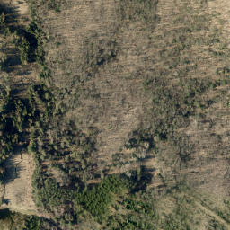 Satellite imagery of Thompson Mountain, CA